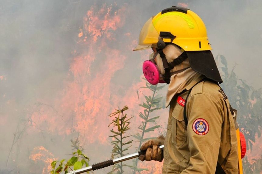 Em Boca do Acre, Operação Aceiro já combateu 2.132 focos de incêndios