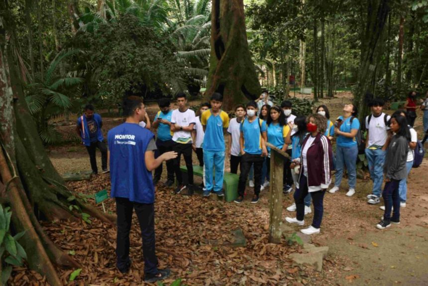 Secretaria de Educação incentiva participação de alunos e educadores no Prêmio Criativos Escola + Natureza