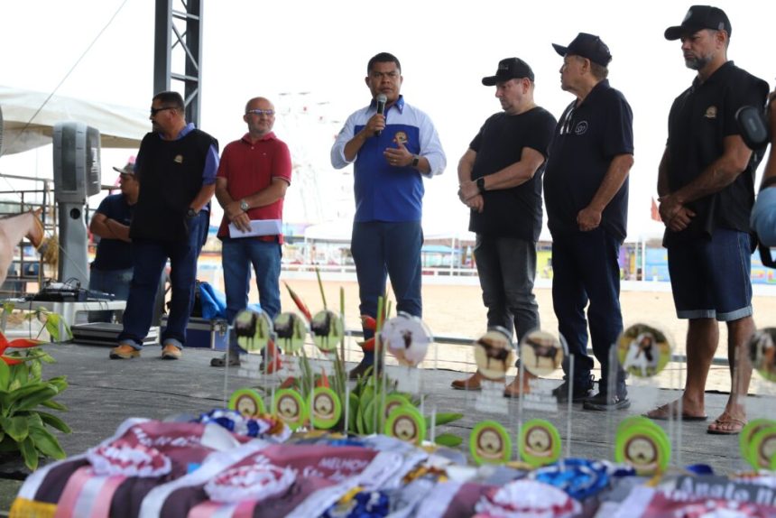Expoagro 2024: julgamento de raças de animais e torneios leiteiros marcam o encerramento da 46ª edição