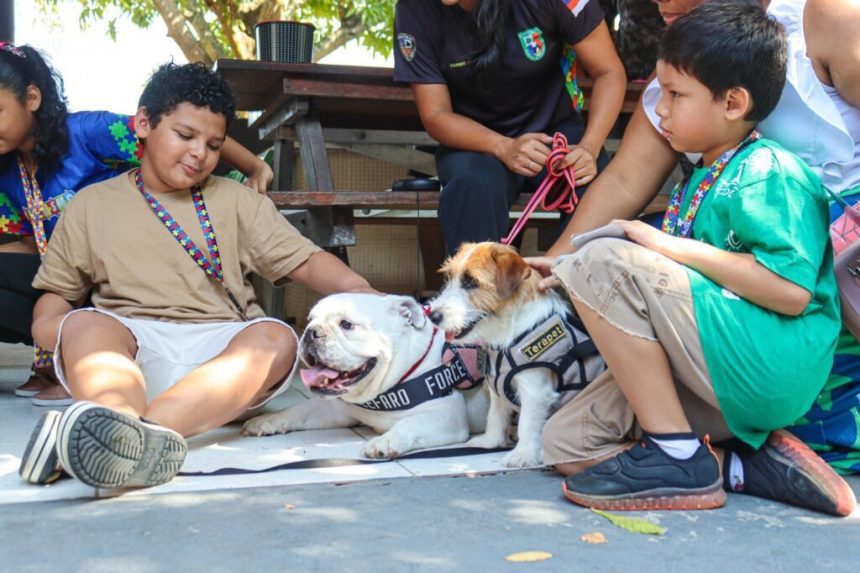 Setembro Verde: Crianças com deficiência têm manhã de lazer com cães de terapia da Polícia Militar do Amazonas