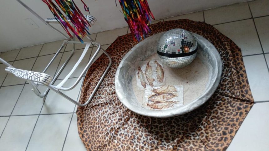 Exposição “1 Clímax para 1 Bicho de Casco” Provoca Reflexão Sobre a Crise Ambiental na Galeria do Largo