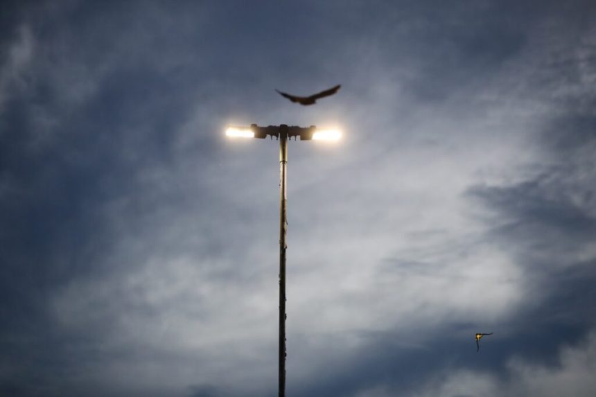 Semig cria plataforma de monitoramento de abastecimento de combustíveis e energia