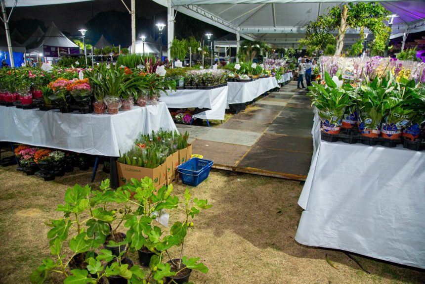 Adaf autoriza a realização da Feira de Flores de Holambra em Manaus