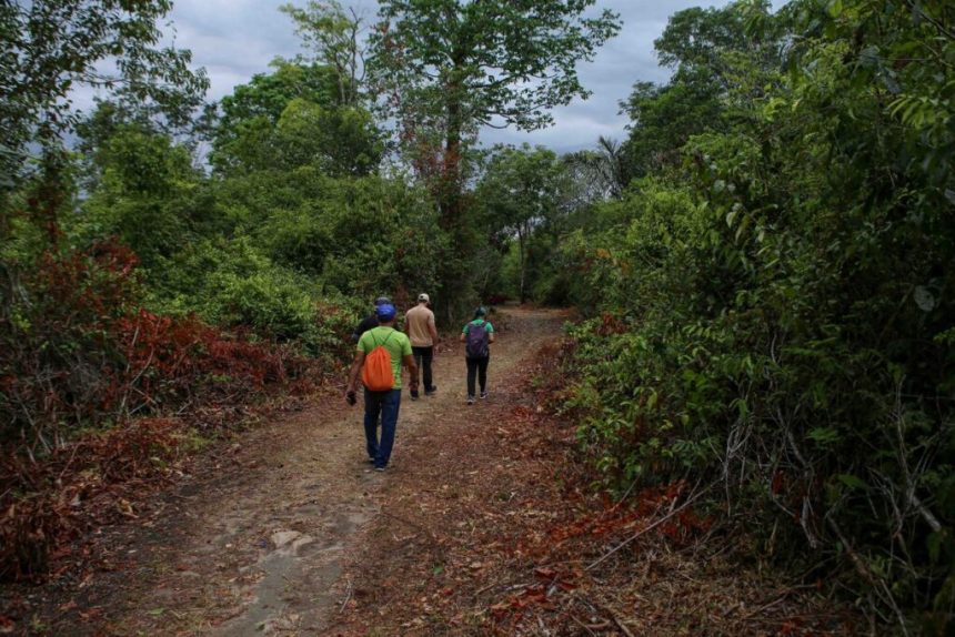 Amazonastur promove ação para fortalecer o setor turístico em Parintins