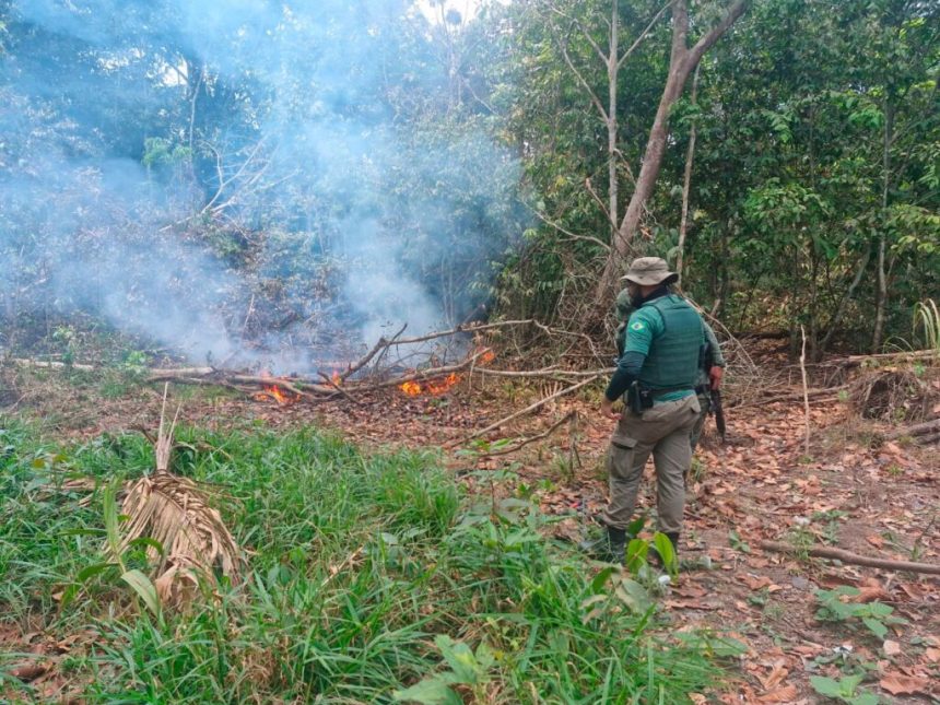 Homem é preso por provocar incêndio em área de mata em Humaitá
