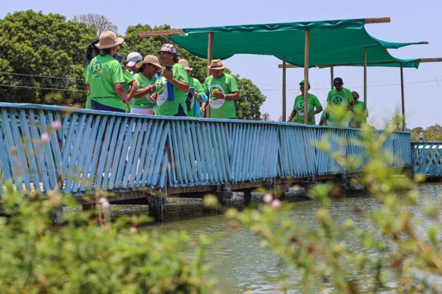 Pé na Estrada: Idosos celebram novo projeto do Governo do Amazonas que proporciona atividades de bem-estar na zona rural