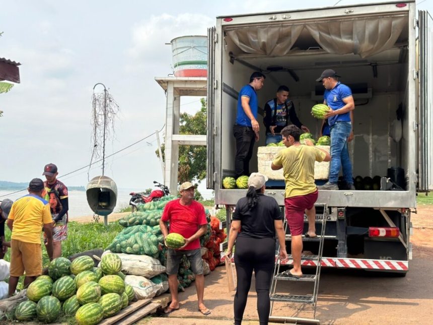 Governo do Amazonas lança edital para credenciamento de produtores rurais no Programa de Regionalização da Merenda Escolar