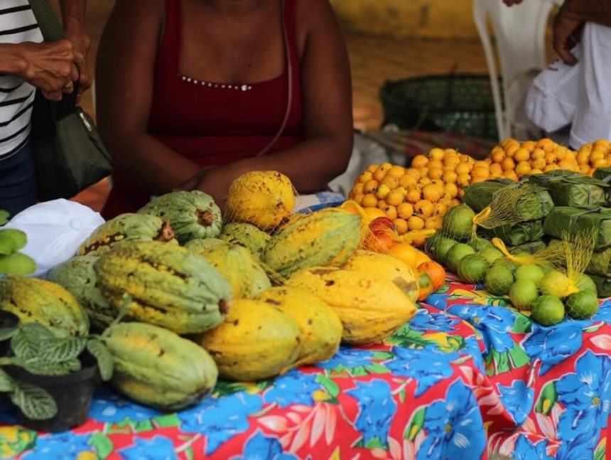 Com apoio do Governo do Amazonas, comunidades tradicionais do Médio Solimões recebem oficina de Regionalização da Educação em Nutrição