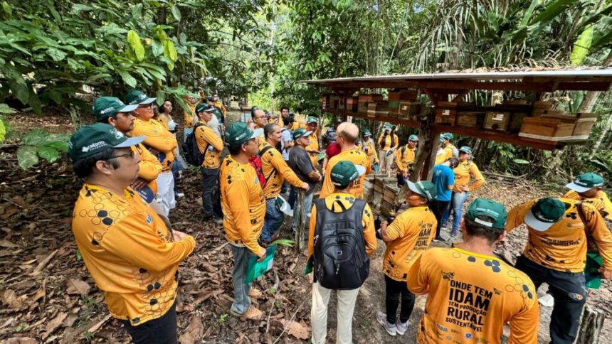 Dia de Campo da Meliponicultura: Idam capacita mais de 150 pessoas em Presidente Figueiredo