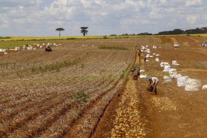 Regulamentação de bioinsumos é destaque em aprovações na área agrícola
