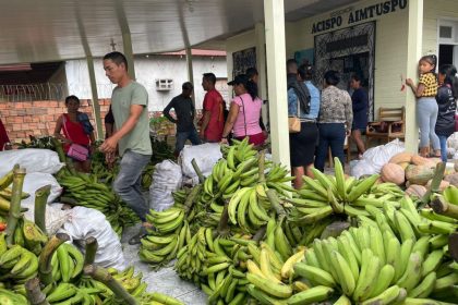 Governo do Amazonas realiza entrega de 7 toneladas de alimentos pelo PAA Indígena em São Paulo de Olivença