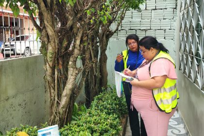 Inventário florestal revela diversidade de espécies arbóreas na área do Prosai Parintins