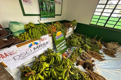 Governo do Amazonas entrega 5,5 toneladas de alimentos da agricultura indígena em Envira