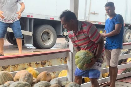 Balcão de Agronegócios: Governo do Amazonas facilita escoamento de 9 toneladas de jerimum e 6 toneladas de macaxeira