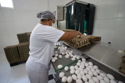 Adaf amplia prazo de validade de registro de estabelecimentos avícolas