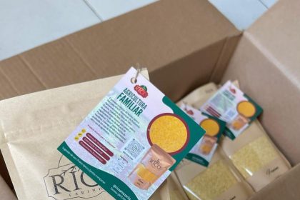 Projeto apoiado pelo Governo do Amazonas estimula práticas agrícolas sustentáveis para produção de farinha