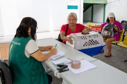 Prefeitura orienta tutores de cães e gatos a evitar faltas nas castrações agendadas pelo CCZ