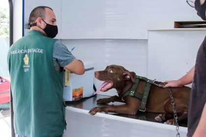 Serviço de castração de cães e gatos da prefeitura abre novos agendamentos na segunda-feira, 3/3