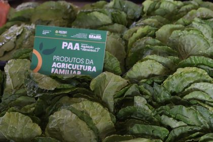 No Amazonas, inscrições para o PAA são prorrogadas