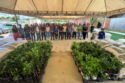 Em Novo Airão, produtores são beneficiados com entregas de ração para bovídeos, alevinos e mudas de citros