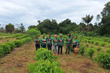 Em Guajará, Idam organiza capacitação para o cultivo de café por estaquia