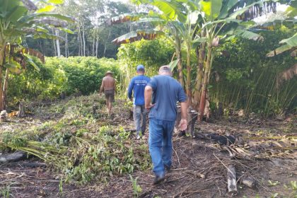 Em Caapiranga, Idam realiza regularização de documentos rurais e visita técnica a propriedade produtora de Malva