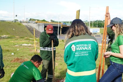 Prefeitura de Manaus planta 500 novas mudas no Trevo do Rapidão