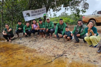 Projeto comunitário devolve 185 filhotes de quelônios à natureza no Parque Estadual Matupiri