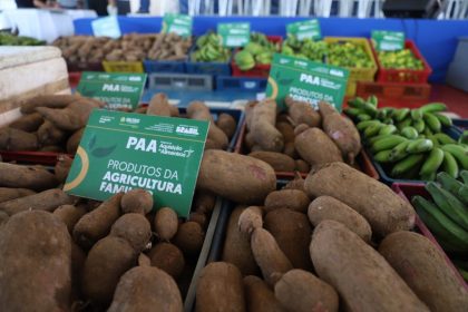PAA Amazonas: produtores rurais e entidades podem se inscrever até o dia 10 de fevereiro