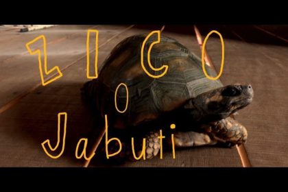 Programação da semana tem união de música erudita com rock e games, além de opções para todos os gostos e públicos