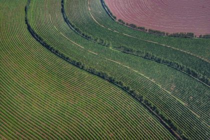 Projeto aprova acordo sobre mercado internacional do café