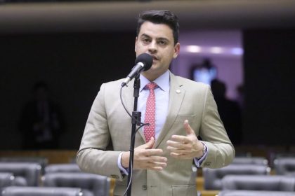 Proposta prevê abrigos públicos para cães e gatos nos municípios com pelo menos 50 mil habitantes