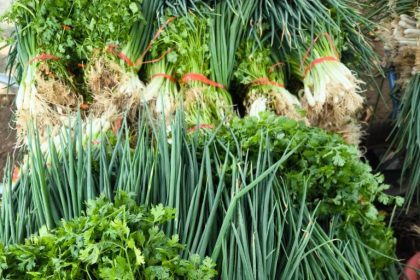 Preme atinge recorde de credenciados e beneficia agricultores de 42 municípios