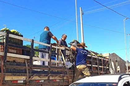 Adaf apreende mais de três toneladas de laranjas escondidas em carga de banana