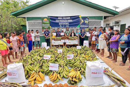 Em Envira, quatro toneladas de alimentos produzidas por agricultores indígenas são entregues à Casai