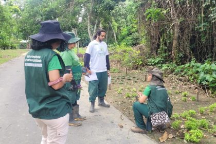 Prefeitura de Manaus promove treinamento e capacitação para servidores do Centro de Produção de Mudas