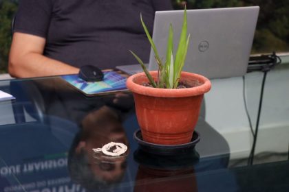 Sedecti discute fortalecimento da bioeconomia no Amazonas com a fibra do curauá