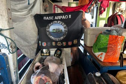 Base Arpão 2: PMAM apreende em Barcelos mais de meia tonelada de pescado protegido pelo Defeso