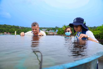 Informe epidemiológico da prefeitura atualiza dados de casos de arboviroses na capital