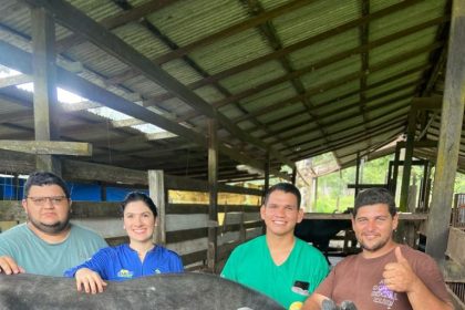 Em Itacoatiara, Idam acompanha início das atividades do Programa Mais Pecuária Brasil