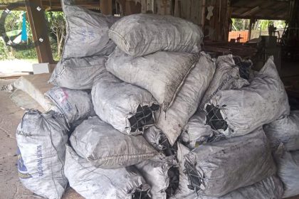 Ipaam e CPAmb apreendem sacas de carvão vegetal ilegal no ramal no Rio Preto da Eva