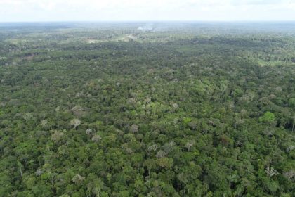 Ipaam registra queda de 21,09% no desmatamento e 37,5% nos focos de calor no Amazonas em maio