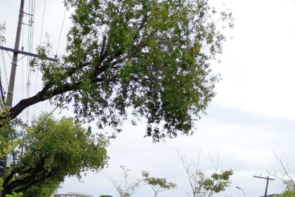 Prefeitura de Manaus flagra motorista sem habilitação em veículo do transporte executivo na Djalma Batista 