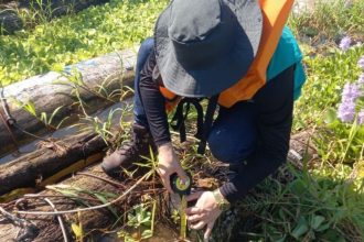 Ipaam realiza vistoria técnica para licenciamento de madeira pescada em Coari