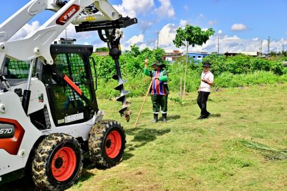 Prefeito David Almeida avança no reflorestamento urbano com mecanização da arborização em Manaus