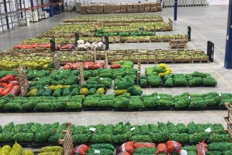 Via Preme: ADS destina mais de 147 toneladas de alimentos à rede estadual de ensino após recesso escolar