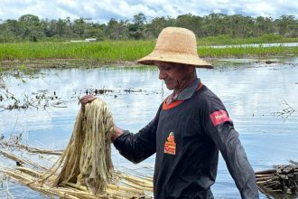 ADS prorroga prazo para envio de documentos para credenciamento na Subvenção Econômica da Juta e Malva