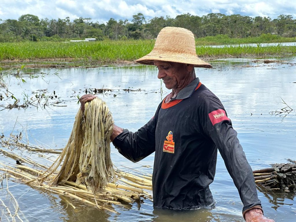 ADS prorroga prazo para envio de documentos para credenciamento na Subvenção Econômica da Juta e Malva