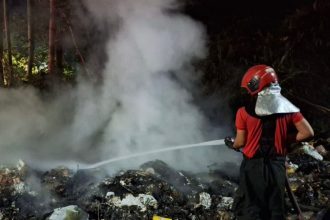 Em 10 dias, Corpo de Bombeiros atendeu 53 ocorrências de incêndio em vegetação urbana e lixeiras clandestinas em Manaus