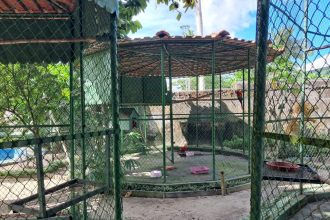 Mantenedouros de fauna: Ipaam explica como funciona e quais são as regras